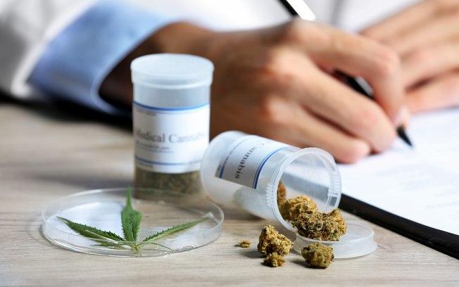 Medicamento a base de maconha foi aprovado pela Anvisa (Crédito: Reprodução)