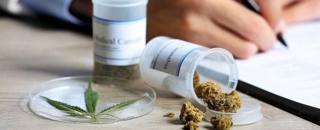 Anvisa aprova pela 1ª vez registro de remédio à base de maconha
