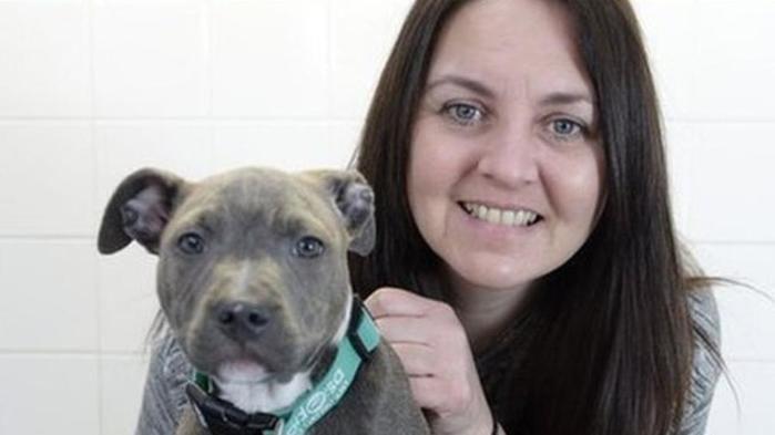A cachorra foi salva após passar por cirurgia