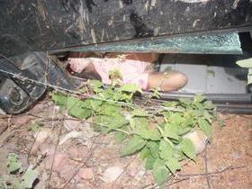 Acidente gravíssimo, BR 407, deixa a cabeça do motorista decepada