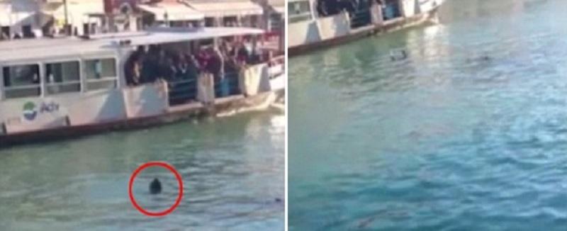 Refugiado morre afogado perto de barco e não recebe ajuda