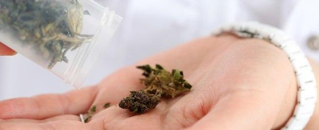 Lei que amplia uso medicinal da maconha entra em vigor nos EUA