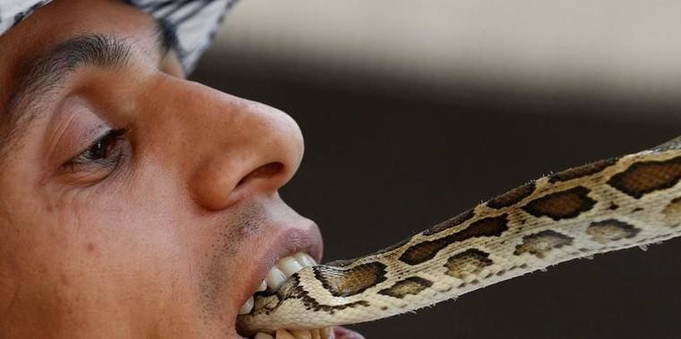 Homem mantém cobras e escorpiões como "bichos de estimação"