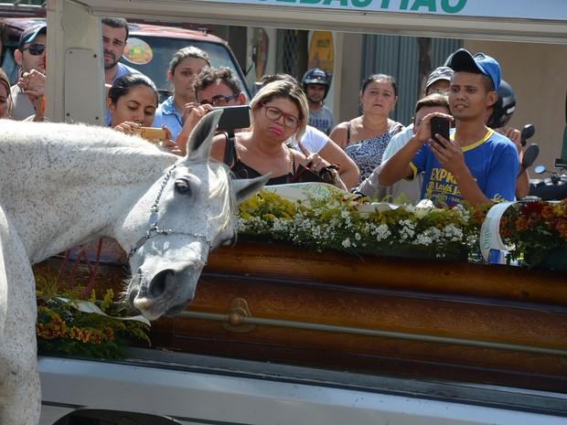 Cavalo comove família ao 'se despedir' do dono na Paraíba