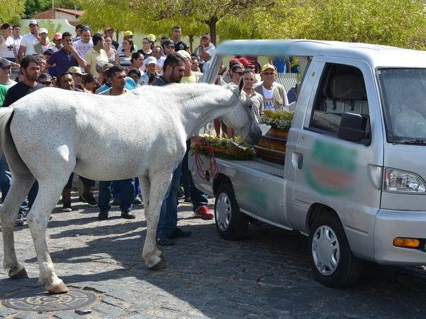 Cavalo comove família ao 'se despedir' do dono na Paraíba