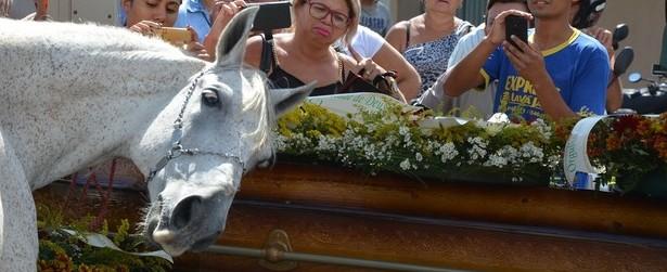 Cavalo comove família ao 'se despedir' do dono na Paraíba
