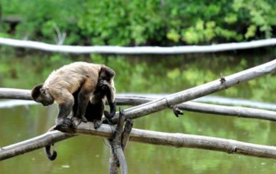 Parque Zoobotânico é opção de lazer para o Dia das Crianças (Crédito: Paulo Barros)