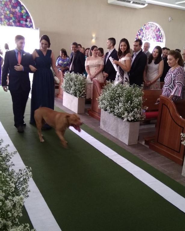 Pitbull rouba a cena em casamento (Crédito: Arquivo Pessoal)