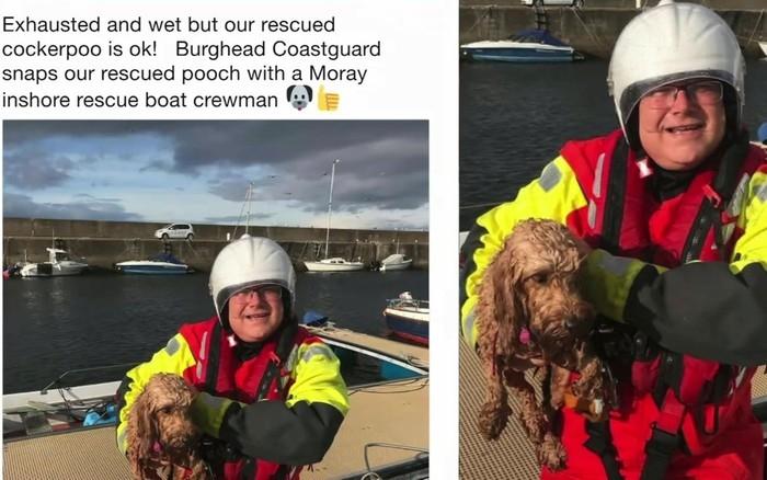 Cachorro é resgato sozinho em alto mar após tempestade (Crédito: BBC)
