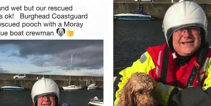 Cachorro é resgato sozinho em alto mar após tempestade