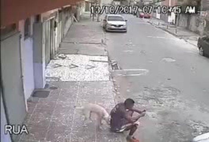 Animal chega atrás e faz xixi (Crédito: Reprodução)