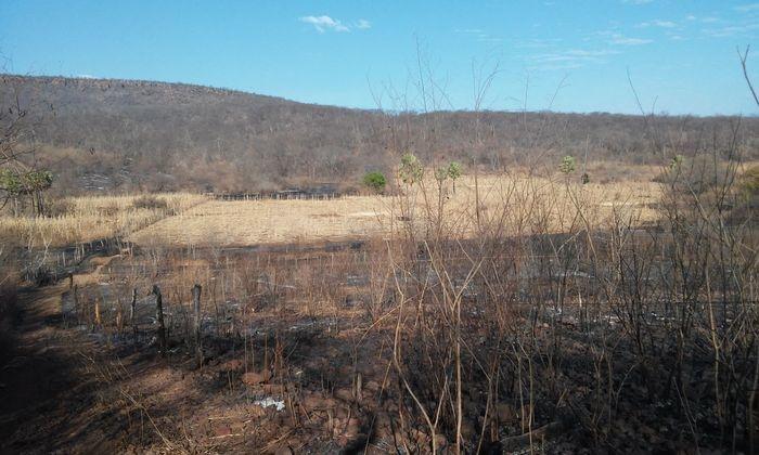 Incêndio em Santana do Piauí (Crédito: João Rodrigues)