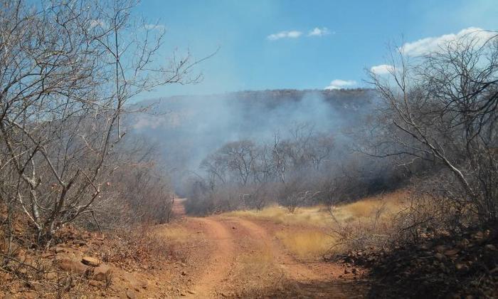 Incêndio destrói vegetação em Santana do Piauí (Crédito: João Rodrigues)