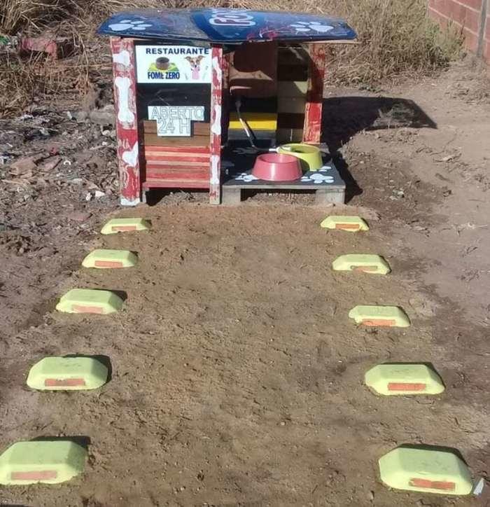 Jovem cria “restaurante” para alimentar cachorros de rua
