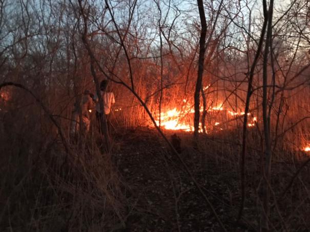 Fogo destroi grande área em Colônia do Piauí (Crédito: José Fernando)