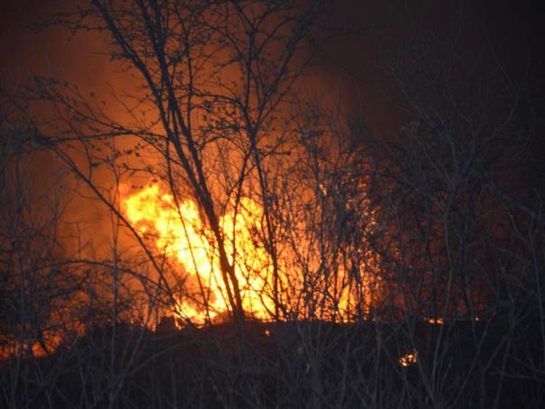 Fogo destroi grande área em Colônia do Piauí (Crédito: José Fernando)