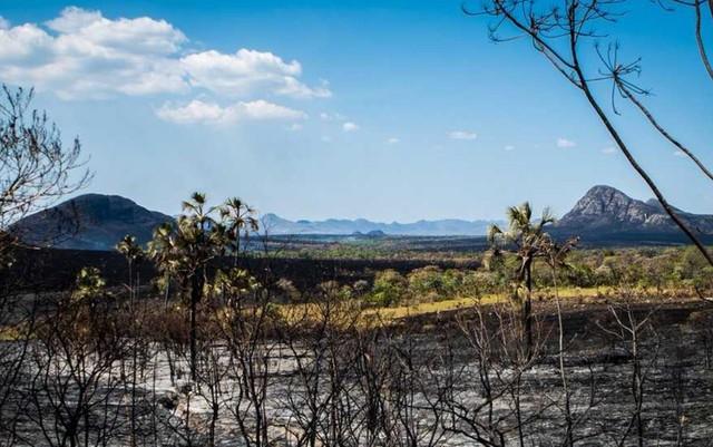 Parque Nacional da Chapada dos Veadeiros tem vegetação destruída devido incêndio (Crédito: Davi Boarato/BBC Brasil)