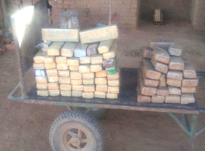 Maconha incinerada em São Raimundo Nonato (Crédito: Polícia Civil)