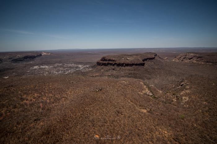 Região atingida por incêndio na Serra da Capivara (Crédito: Joaquim Neto)