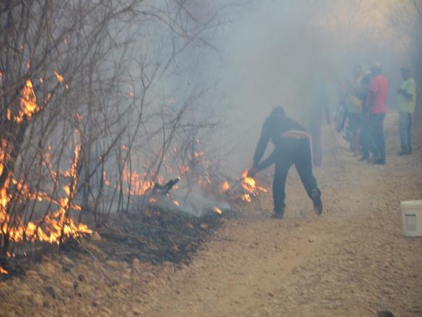 Incêndio no município de Colônia do Piauí (Crédito: José Fernando/ Mural da Vila)