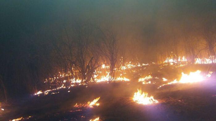 Incêndio no município de Colônia do Piauí (Crédito: José Fernando/ Mural da Vila)