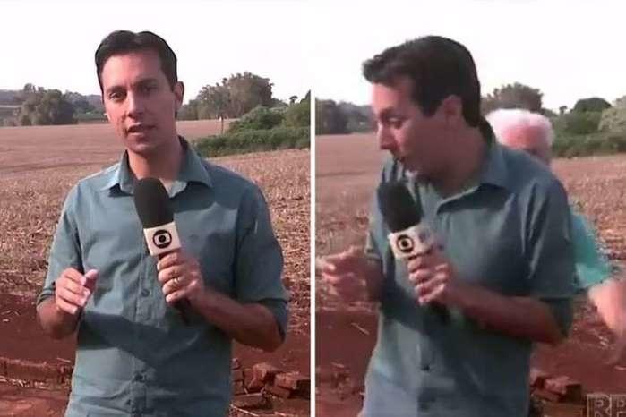 Jornalista se assusta ao fazer matéria sobre onça (Crédito: Reprodução)