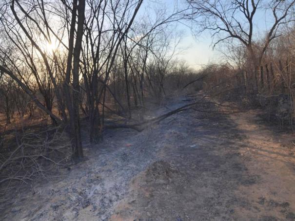 Incêndio no município de Colônia do Piauí (Crédito: José Fernando/ Mural da Vila)