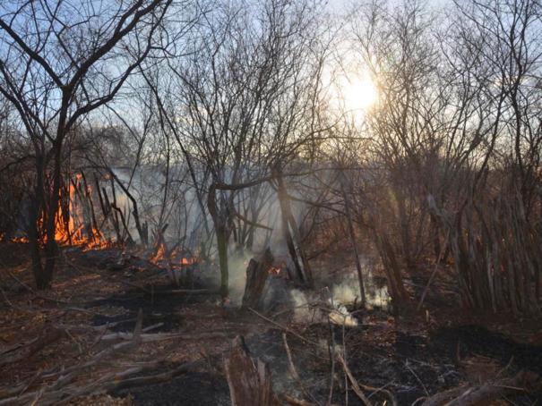 Incêndio no município de Colônia do Piauí (Crédito: José Fernando/ Mural da Vila)