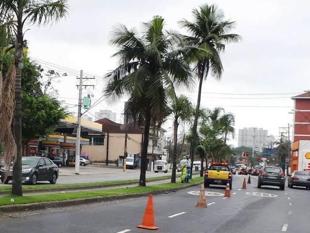 Criança morre ao após ser atropelada por carro de luxo em Santos