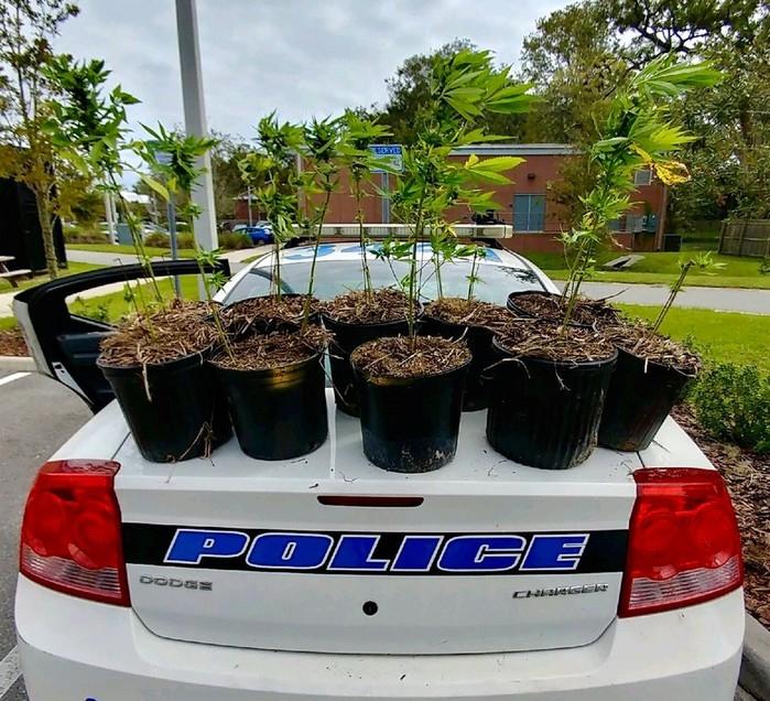 (Crédito: Gainesville Police Department/Twitter)