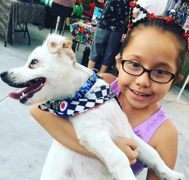 Menina surda ensina língua de sinais para seu cãozinho (Crédito: Reprodução)