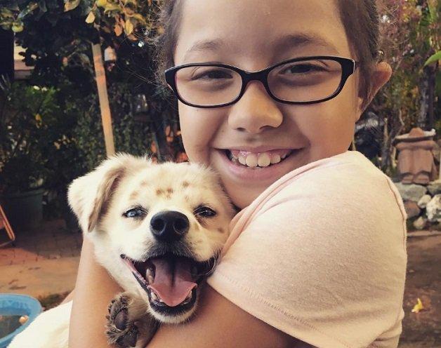Menina surda ensina língua de sinais para seu cãozinho (Crédito: Reprodução)