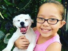 Menina surda ensina língua de sinais para seu cãozinho