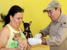 Município vacina cães e gatos neste sábado na cidade