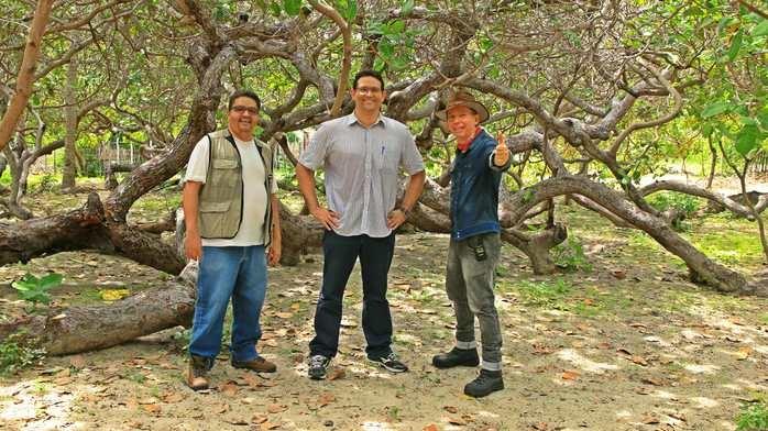 03 de Fevereiro, 2016. Biólogos Francisco Soares e Fabrício Amaral, com o Ecoaventureiro Alcide Filho. Bastidores da Pesquisa DNA Cajueiro Rei do litoral do Piauí. (Crédito: Divulgação.)