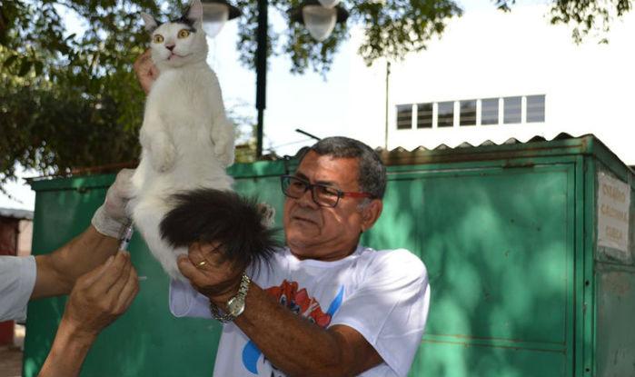 Mais de 120 mil animais domésticos foram vacinados contra a raiva em Teresina (Crédito: Divulgação)