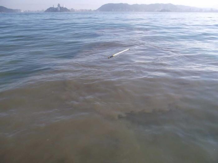 Área contaminada, na baía de Santos (Crédito: Arquivo Pessoal)