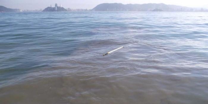 Estudo aponta contaminação por cocaína no mar do litoral de SP