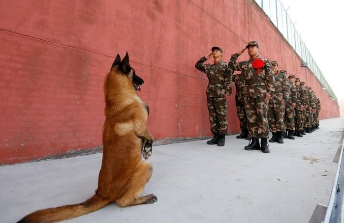 (Crédito: Reuters)