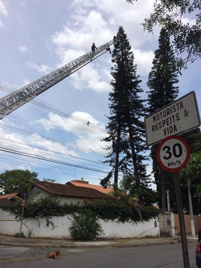 Gato foi resgatado por volta das 12h30 deste sábado (4), após três horas da presença do Corpo de Bombeiros no local. (Crédito: Reprodução)