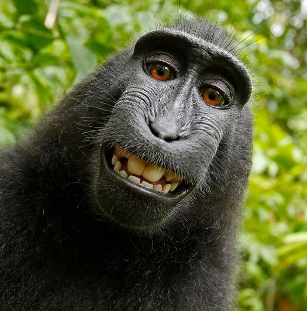 Naruta teria feito a própria selfie