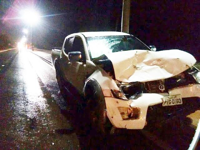 Caminhonete colide com vaca na BR 343