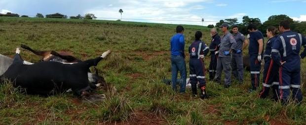 Fazendeiro leva choque e morre ao tentar tirar foto de gado morto
