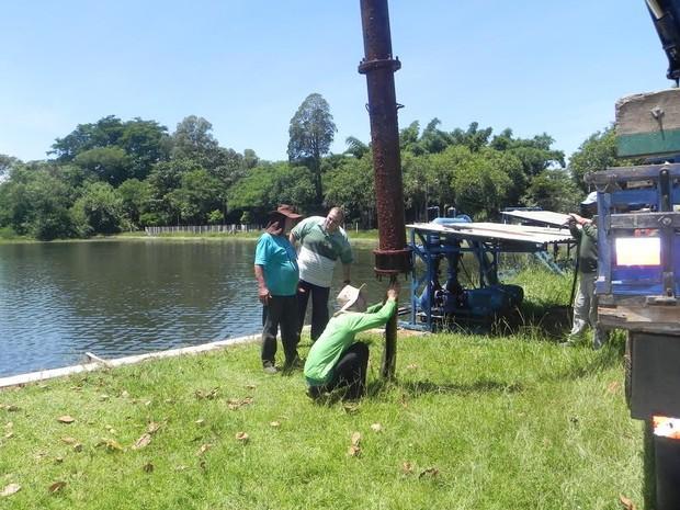 Sucuri é retirada de tubulação de água em Cordeirópolis