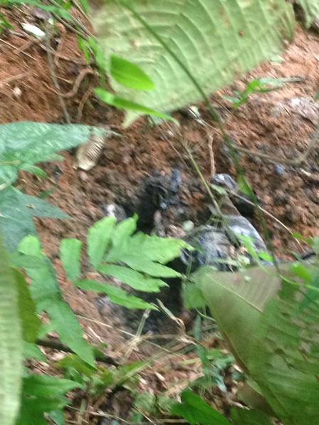 Polícia encontra cemitério clandestino em Angra dos Reis