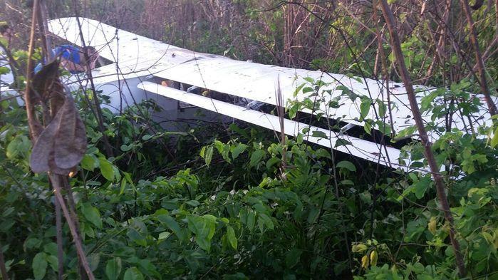 Avião de pequeno porte faz pouso de emergência na z. Rural de THE (Crédito: Reprodução)