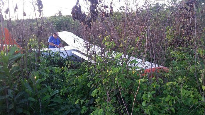 Avião de pequeno porte faz pouso de emergência na z. Rural de THE (Crédito: Reprodução)