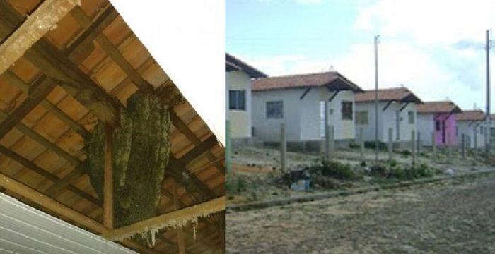Homem é levado ao hospital ser atacado por enxame de abelhas