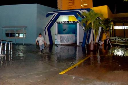Tanque gigante de aquário se rompe no México