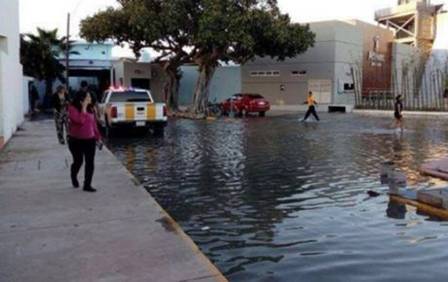 Tanque gigante de aquário se rompe no México
